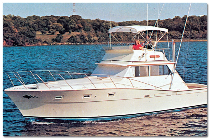 Viking Yachts