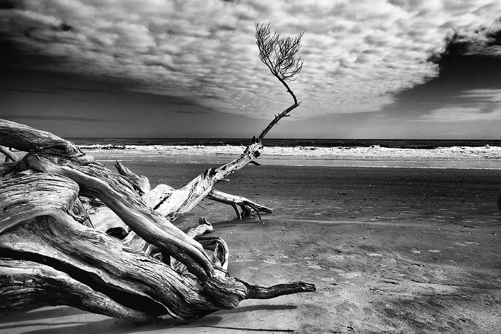 Beaufort, South Carolina