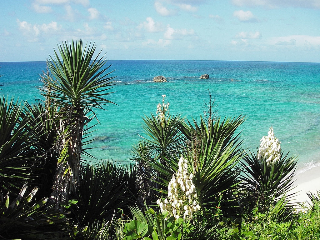 Bermuda beach