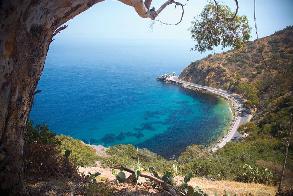 Santa Catalina Island