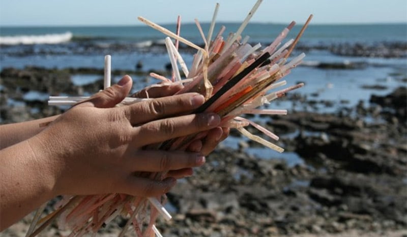 drinking straws