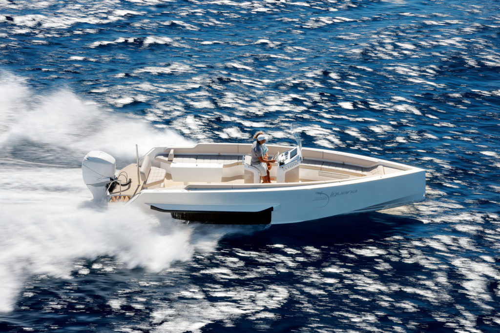 E-Iguana 29, Iguana Yachts