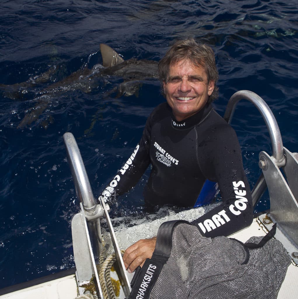 Stuart Cove's Dive Bahamas, Scuba Diving, Sharks