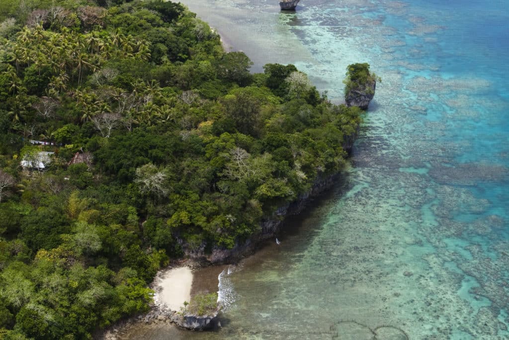 South Pacific Coastline