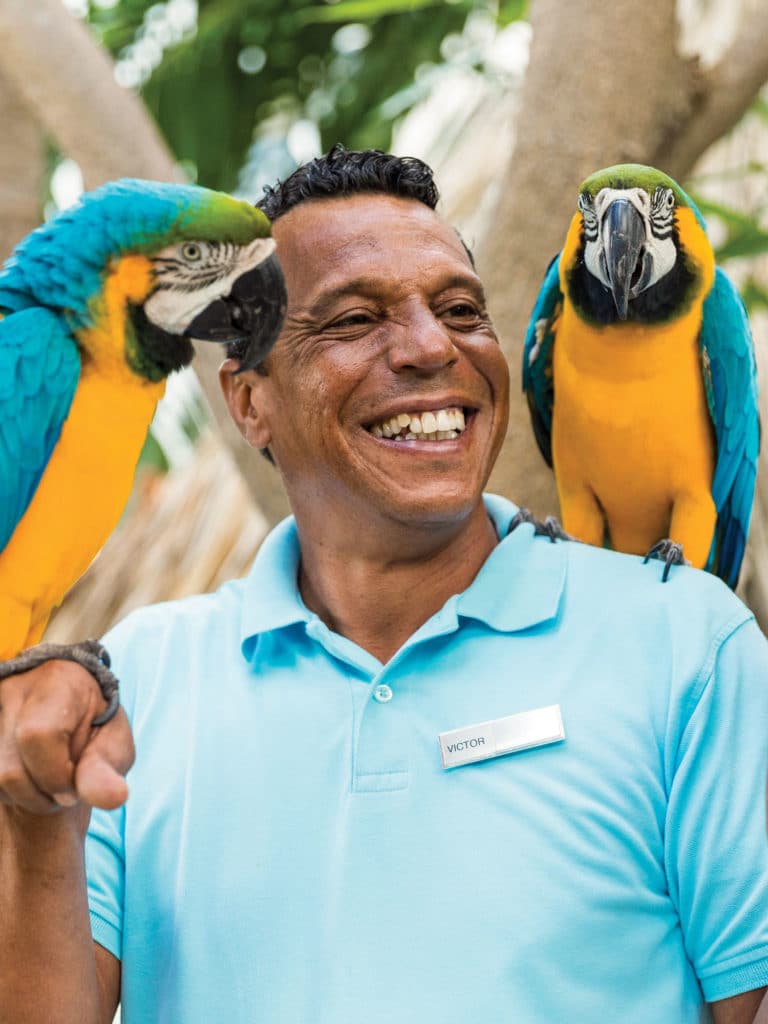 victor hernandez birds aruba