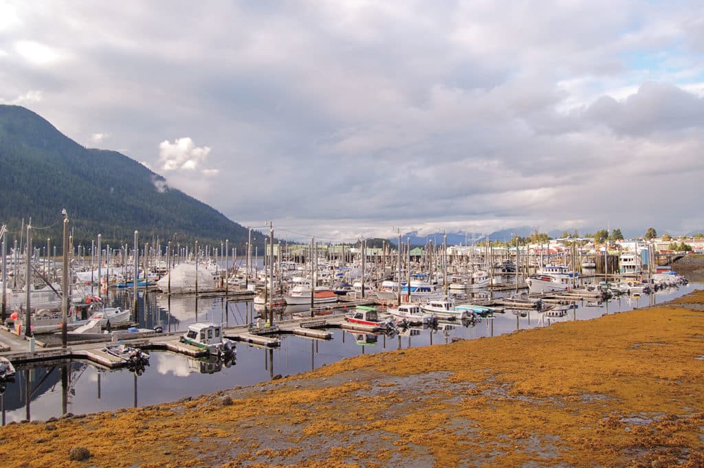 Alaskan Adventure, Protector Targa 30