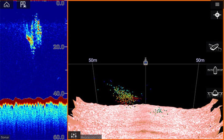 raymarine chirp sonar