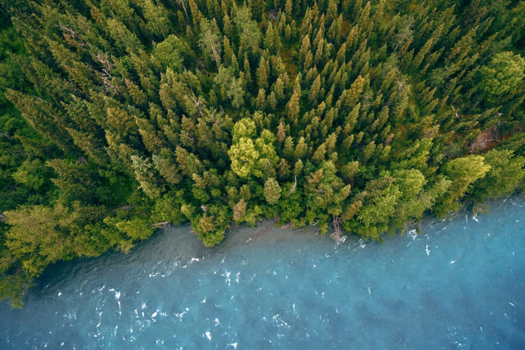 Forest, Water, Yachting, Forest, Pacific Northwest