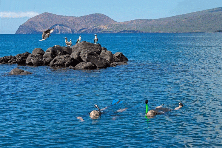 WildAid's Passion, Angermeyer, Andando, WildAid, Galapagos