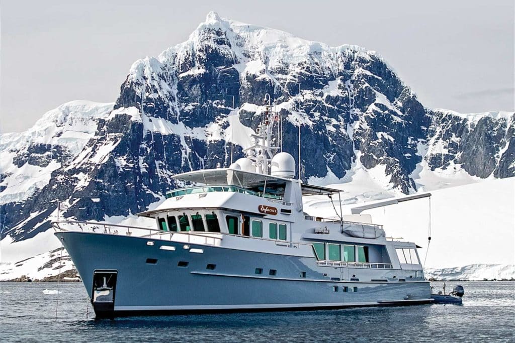 Gayle Force in the antarctic seas