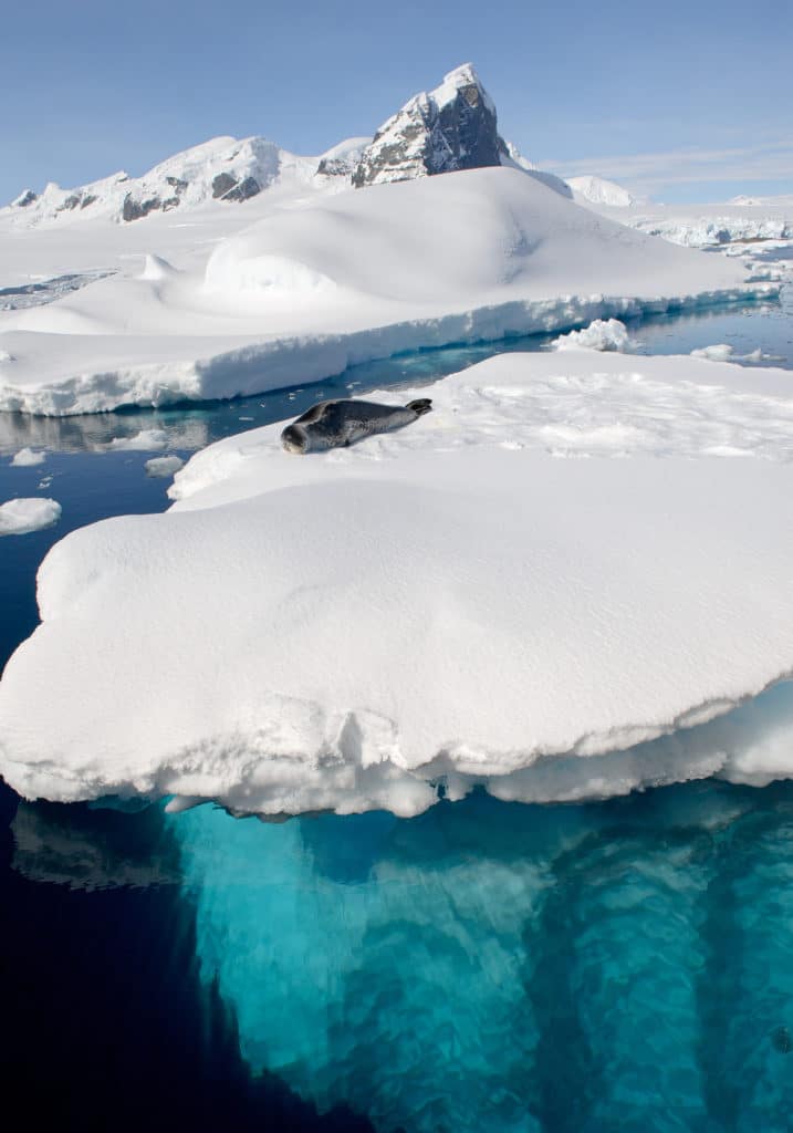 Antartica, Greenland