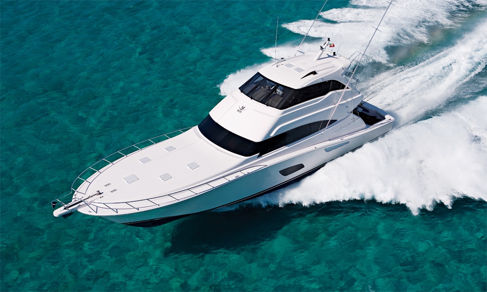 Bertram 800, Bertram Yachts, Fishing