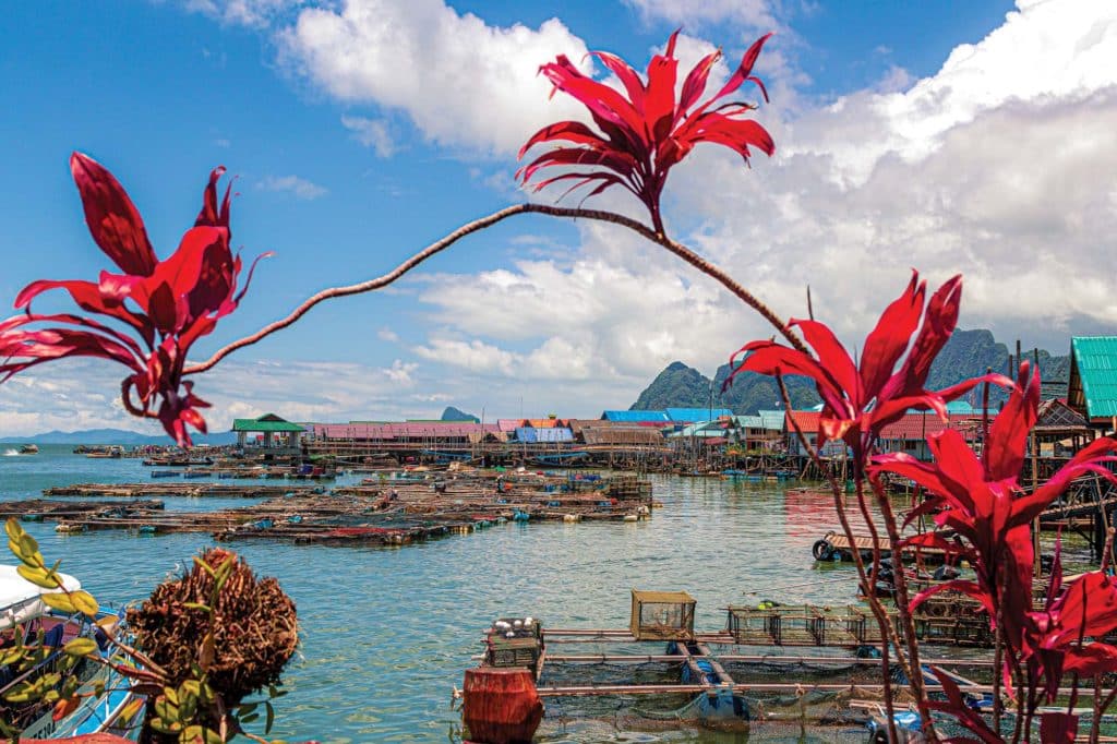 Floating Muslim village of Koh Panyi in Phang Nga