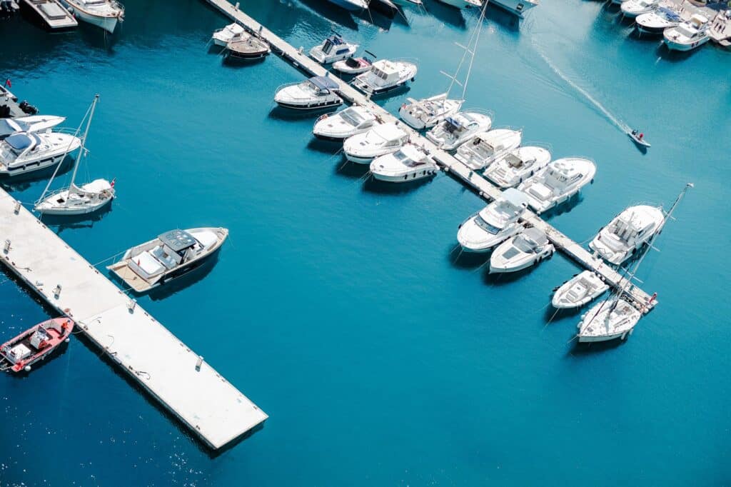 boats in a marina