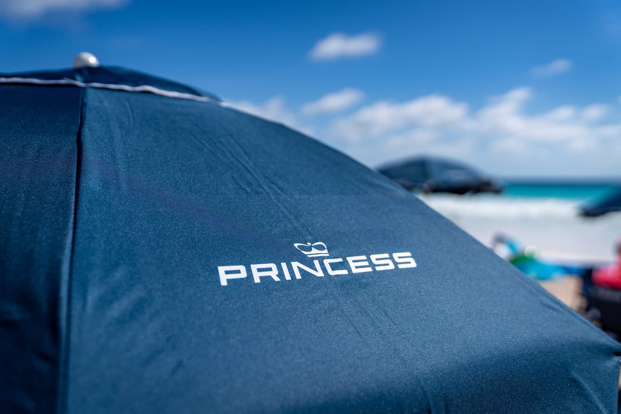 Always More on the Horizon at the Princess Passport