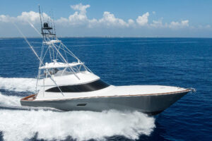Viking 80C A Salt Weapon