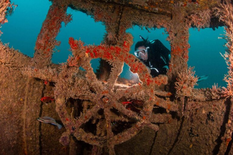 Scuba diving a shipwreck
