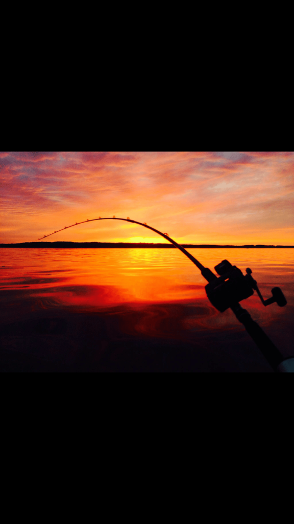 Sunset, Yachting