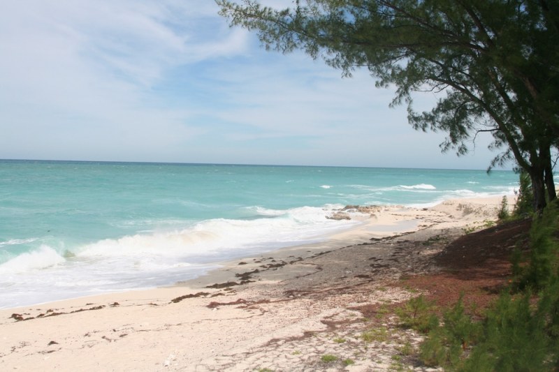 True North: Bimini Charter True North: Bimini Charter