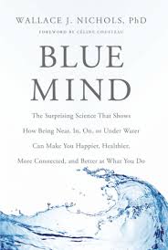 Our brains may be hardwired to make us feel great around the water, according to the book Blue Mind.