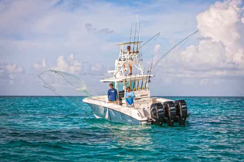 Boston Whaler