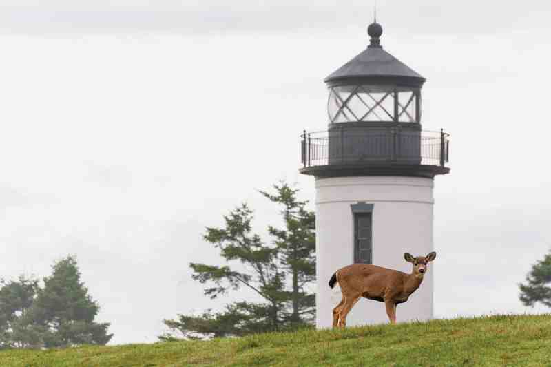 Destinations, Washington, Photos