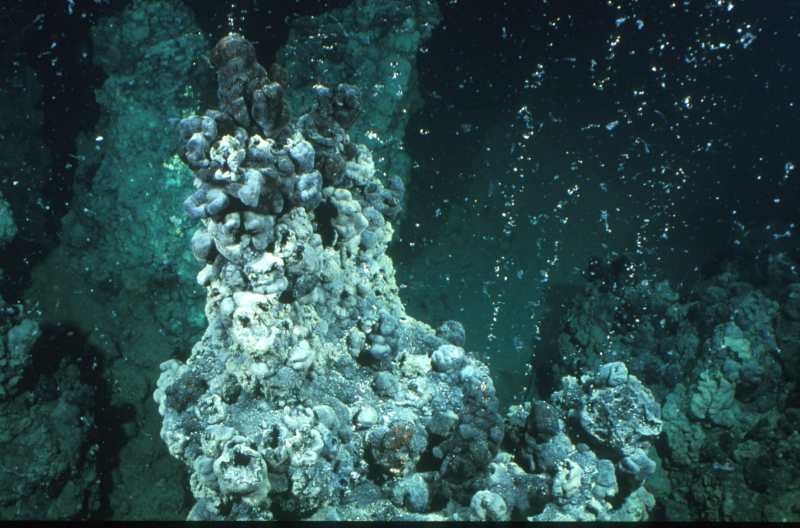 Methane seep A methane gas seep in the Black Sea.