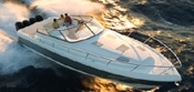 intrepid-475 intrepid-475