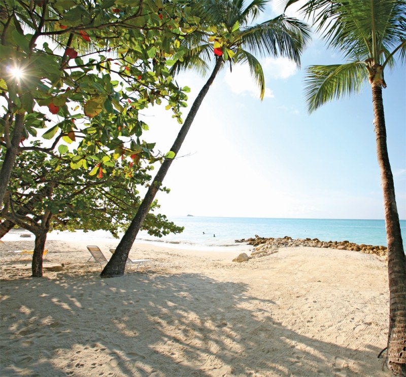 Our Own Antigua Our Own Antigua