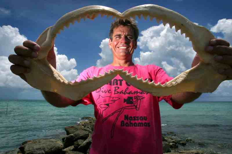 15th August 2004, Nassau, Bahamas. Dive operator Stuart Cove feeds Caribbean Reef Sharks in The Bahamas. Stuart's company has helped film crews with underwater shoots on several James Bond flicks, and Cove himself worked with the actors in "Open Water."  PHOTO © JOHN CHAPPLE IN THE BIG APPLE. Tel (001) 212 397 7287www.chapple.biz
