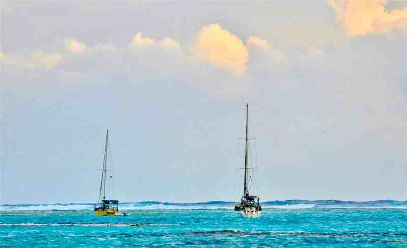 sailboats