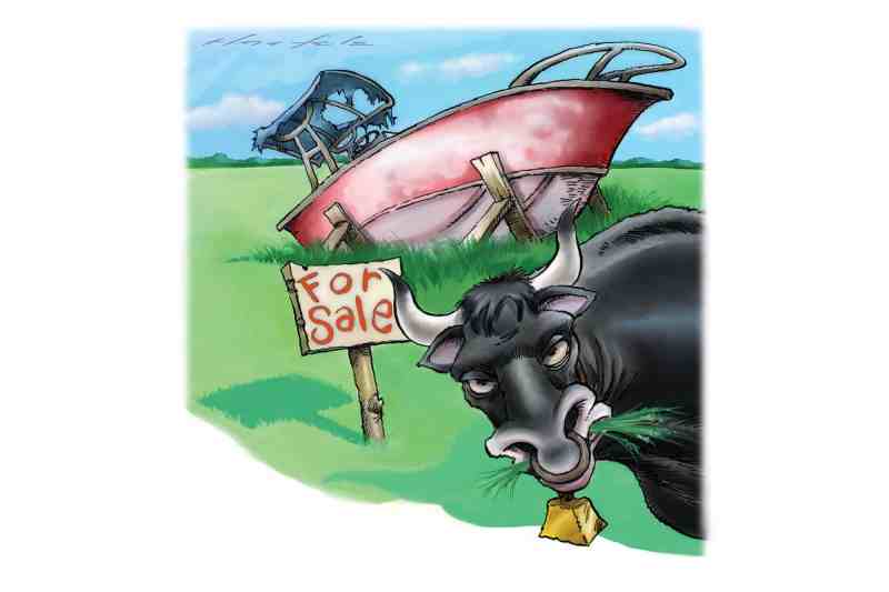 YTG0523_Tell-Tales_01 Steve Haefele illustration