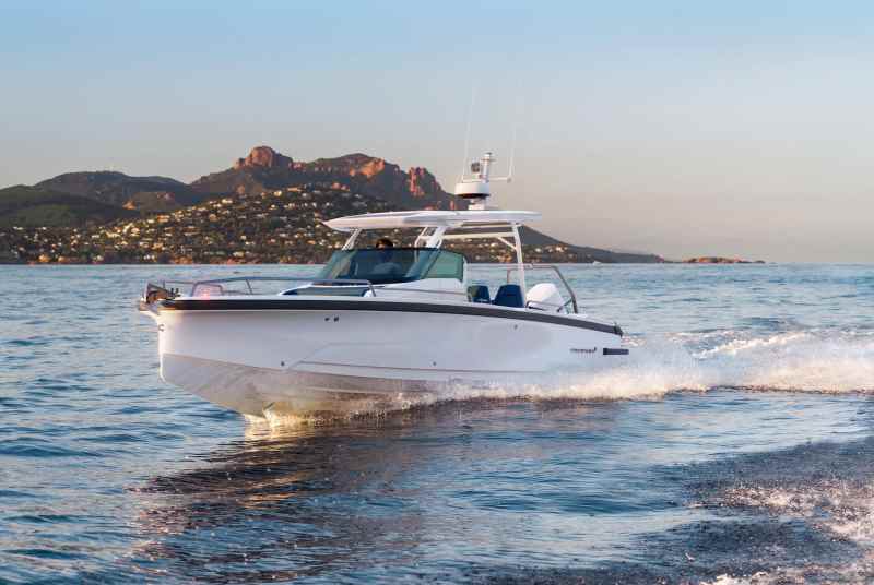 Axopara 29