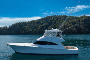 Viking 58 Convertible Game On