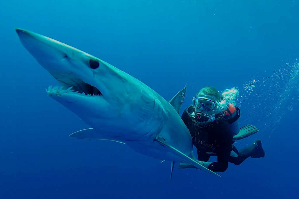 Guy Harvey with a shark