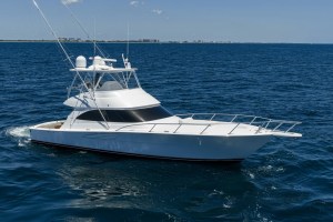 Viking 54 Convertible Dog House