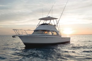 Bertram 35